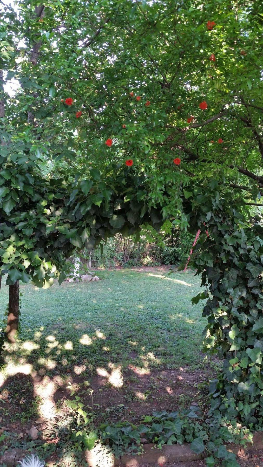לינה וארוחת בוקר קסטיליונה דלה סטיביירה La Cascina Di Alice מראה חיצוני תמונה